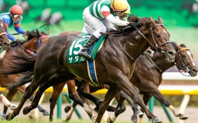 【新潟記念枠順確定】ザダルは1枠2番、トーセンスーリヤは大外8枠17番