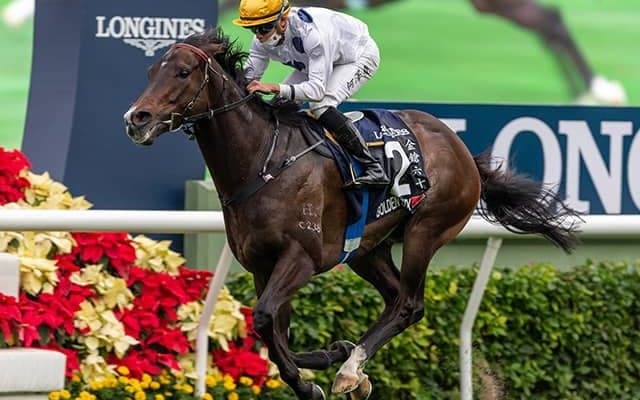 【海外競馬】香港マイル王ゴールデンシックスティに来年の安田記念参戦プラン