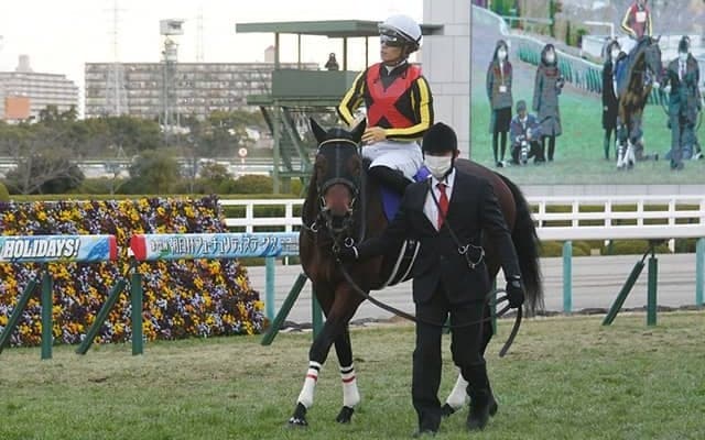 【京成杯AH想定】朝日杯FS覇者グレナディアガーズ、中山巧者スマイルカナ・コントラチェックなど20頭