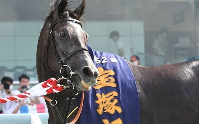 【凱旋門賞】JRAがクロノジェネシス、ディープボンドへの応援メッセージを募集