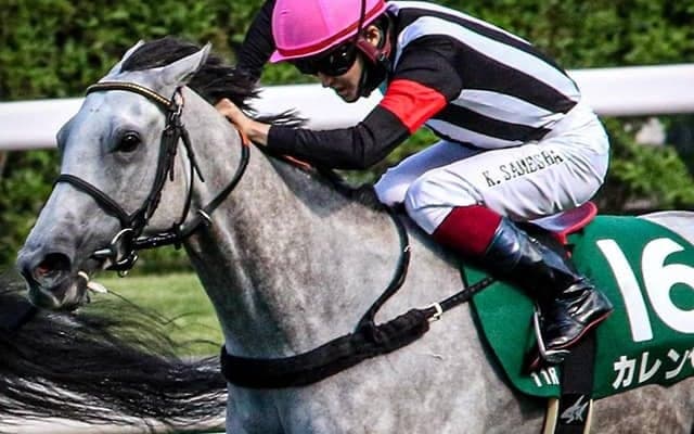 【セントウルS想定】カレンモエは松山弘平騎手、レシステンシアはC.ルメール騎手