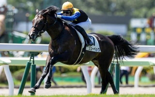 【本日の注目ポイント】重賞は札幌2歳S　藤田晋氏所有の超高額馬ドーブネがデビューなど