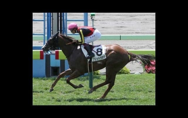 穴党記者が伝授。小倉２歳Ｓは人気のスピード馬より、好位差し馬で好配当を狙え