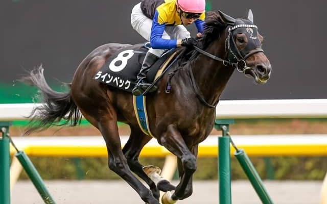 【新潟記念予想】荒れるハンデ重賞で狙い目は？　天候と条件から浮上した3頭/JRA重賞レース展望