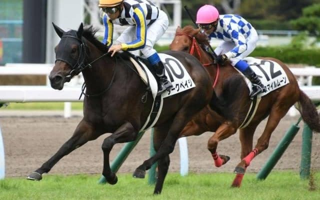 【小倉5R新馬戦結果】ダークペイジが好位から抜け出てデビュー勝ち