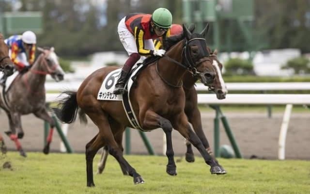 【新潟5R新馬戦結果】キャンデセントが鋭く伸びて断然人気に応える