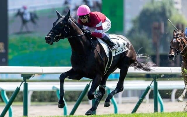 【札幌5R新馬戦結果】藤田晋氏所有の5億円ホース・ドーブネが大外から差し切り完勝