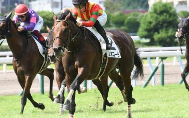 【小倉8R・3歳上1勝】今回も余裕綽々、単勝1.1倍エスコーラが大外から差し切りV