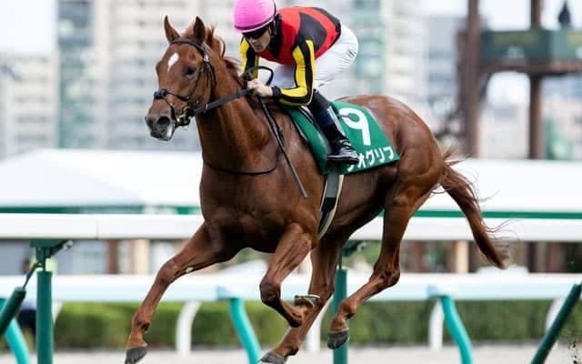 【札幌2歳S結果】ジオグリフが4馬身差突き放し無傷2連勝！ドレフォン産駒は重賞初勝利