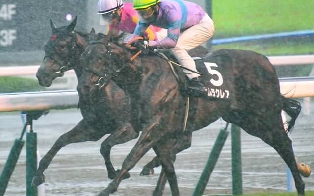 【小倉2歳S予想】レースクラスの高い前走を勝っても危険!? 慎重になるべきは小倉芝1200m巧者で知られる…/JRAレース展望