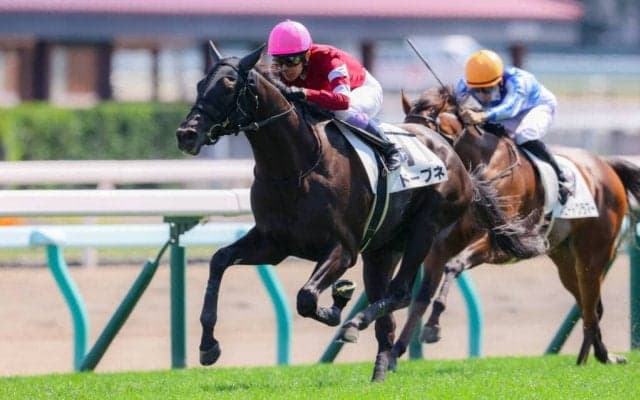 【新馬/札幌5R】藤田晋氏の5億円ホース・ドーブネがデビューV