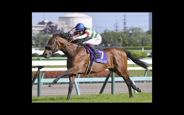 エフフォーリアの弟、ヴァンガーズハート。注目度高い期待馬は「見栄えがする馬格」