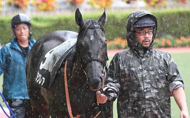 【JRA】和田竜二騎手が負傷のため乗り替わり、小倉2歳Sのナムラクレアは浜中俊騎手に