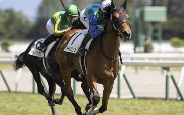 【新潟5R新馬戦結果】トーセンシュシュが抜け出して快勝