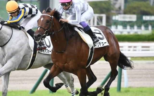 【小倉5R新馬戦結果】武豊騎手騎乗、ハーツクライ産駒ドウデュースが人気に応える