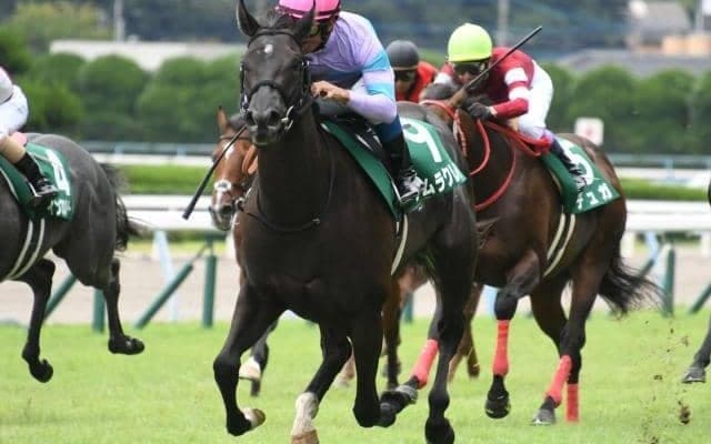 【小倉2歳S結果】ナムラクレアが大外から突き抜け2馬身差完勝！ミッキーアイル産駒の連覇