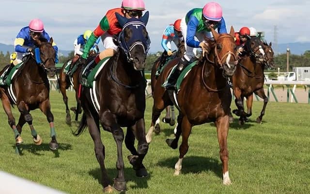 【JRA】トーセンスーリヤがサマー2000シリーズ王者に！函館記念優勝、新潟記念2着