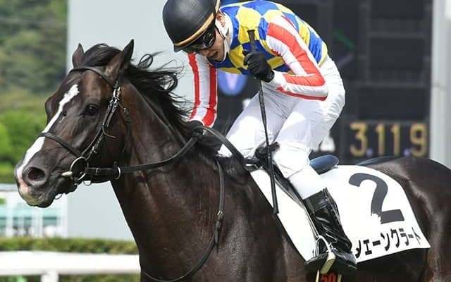 【JRA】五十嵐雄祐騎手が障害通算勝利数10位に「さらに結果を残さないといけない」
