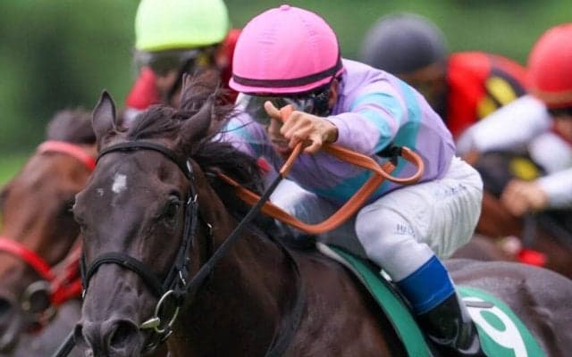 【小倉2歳S】浜中俊「ホッとしています」ナムラクレアが豪快な差し切り