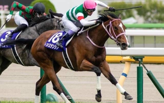 秋競馬開幕！ 今週末はセントウルS・京成杯AH・紫苑Sの3重賞/今週の競馬界の見どころ