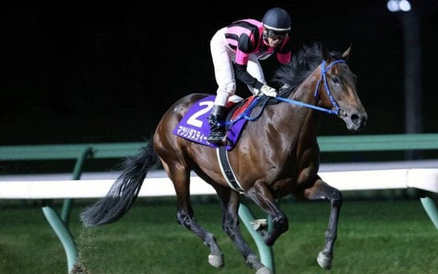 【盛岡・不来方賞】マツリダスティールが能力の違いを見せつけ完勝！