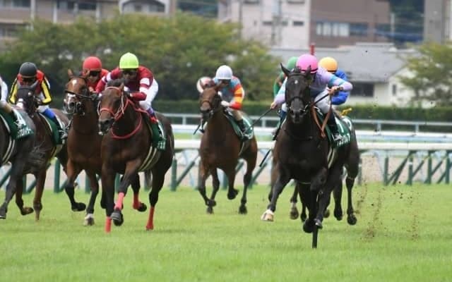 【小倉2歳S】売上は30億1984万7600円で昨年からおよそ5億円の増加