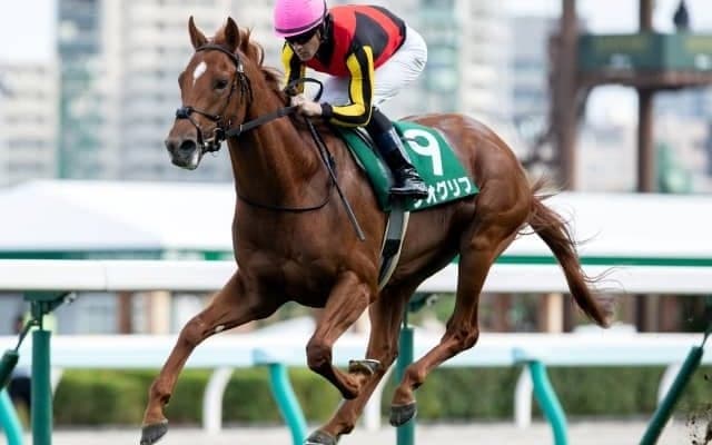 【札幌2歳S】売上は26億878万6700円で昨年からおよそ7千万円の増加