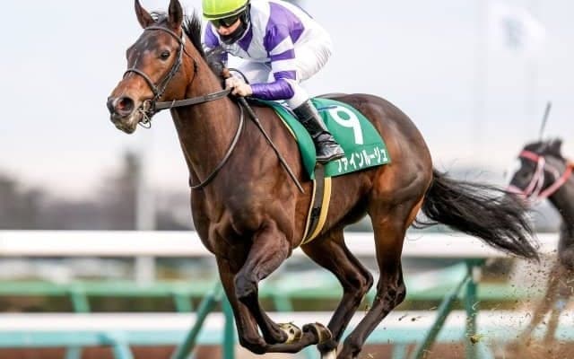 【紫苑S見どころ】キズナ産駒ファインルージュが巻き返しを狙う