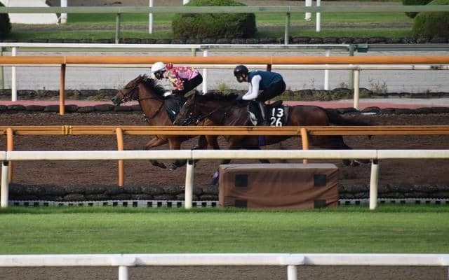 母はクイーンC勝ち馬、アドマイヤラヴィが武豊騎手でデビュー/関西馬メイクデビュー情報