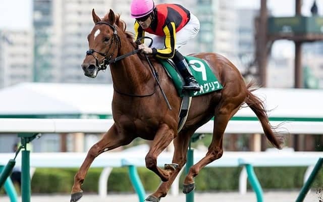 ジオグリフの勝利で父ドレフォンが2歳種牡馬ランキング首位に
