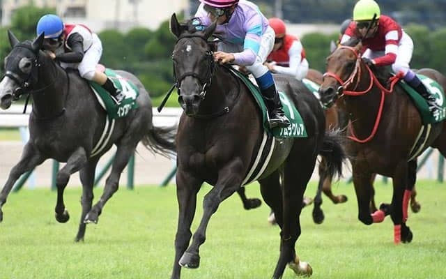 小倉2歳Sはミッキーアイル産駒のワンツー　覚えておきたい小倉芝1200mの連対率32.4%