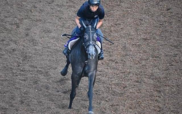 クロノジェネシスなど、先週の入厩情報/栗東トレセンニュース