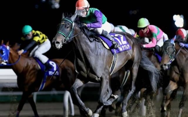 【門別競馬情報】57キロ背負うルナクレア、マリノエクスプレスらの走りや如何に。絶好調フリーホースカップ、実績馬レッドカード、53キロの3歳馬トンデコパらにも注目「にいかっぷオープン」/地方競馬情報