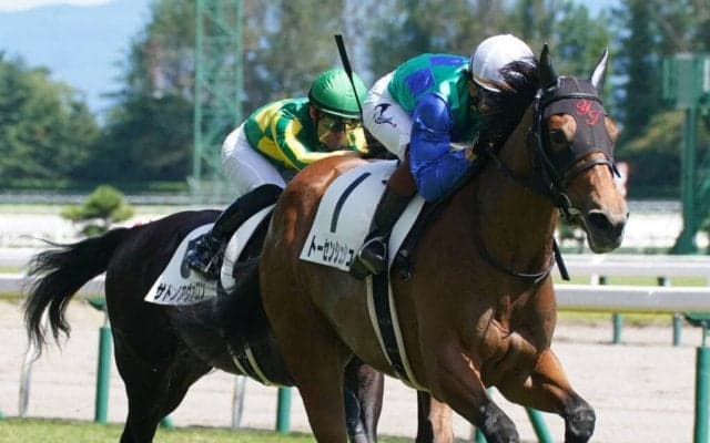 【新馬/新潟5R】ダイワメジャー産駒 トーセンシュシュがデビューV