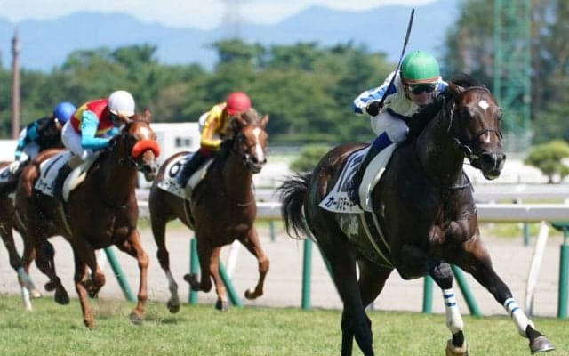 【新馬/新潟6R】ノヴェリスト産駒 カールスモーキーがデビューV