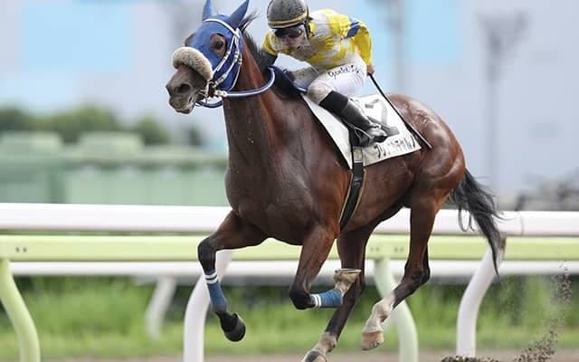 【地方競馬】SNSで注目を集めたプリンニシテヤルノ 地方転籍初戦を快勝