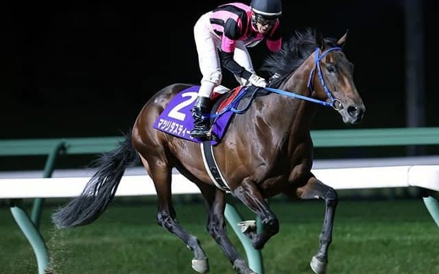 ハイレベルな岩手3歳世代　菅原勲厩舎の2枚看板はダービーグランプリでの活躍にも期待