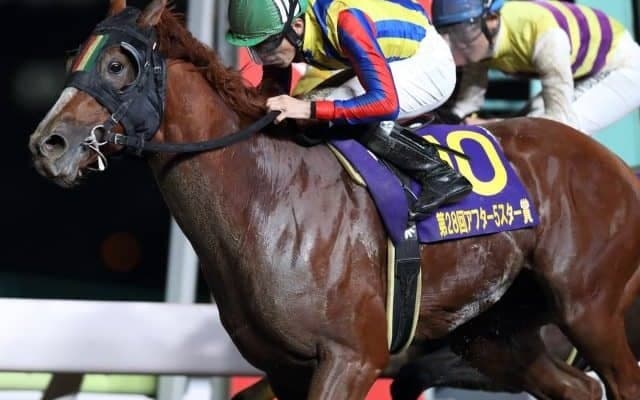 【大井・アフター5スター賞】快勝の3歳馬ワールドリング鞍上張田昂騎手「期待に応えてくれて本当に嬉しい」