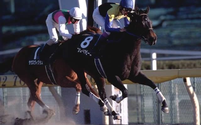 ブロードアピールが老衰のため27歳で死亡　強烈な末脚を武器に多くのファンを魅了