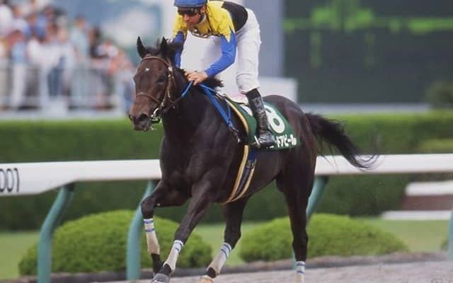 【地方競馬】ブロードアピールの最後の仔ビービーミューズが亡き母に捧げる勝利