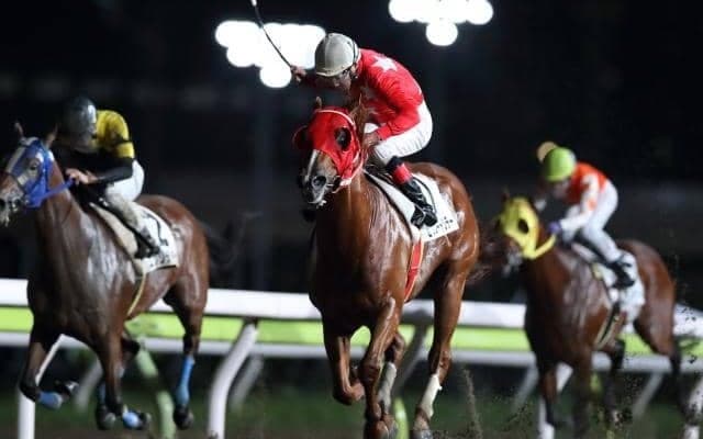 【大井・2004オフト大郷開設賞】的場文男騎手が65歳になっての初勝利！ 前日9月7日が誕生日