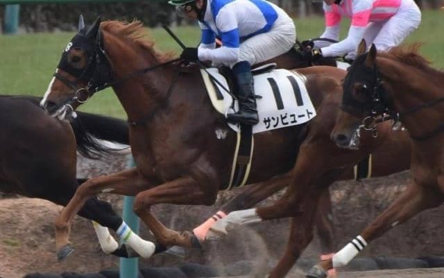 【門別競馬情報】道営記念H1と同一舞台、力勝負で豪脚発揮なるかクインズサターン！赤レンガ記念快勝リンノレジェンドの巻き返しや如何に。今季転入組サンビュート、リコーワルサーにも注目「第7回旭岳賞」/地方競馬情報