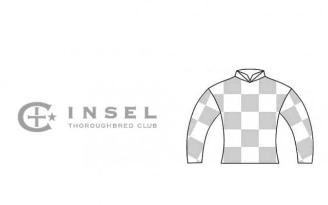 新たな一口馬主クラブが誕生！インゼルサラブレッドクラブが募集開始