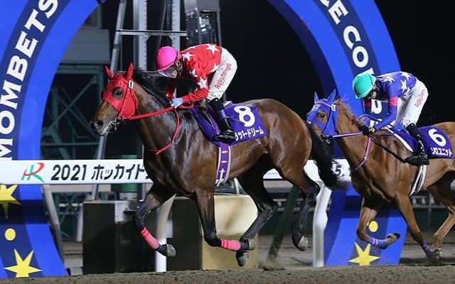 走る馬を発掘するのは「至難の業」2019年サマーセール取引馬の獲得賞金に大きな差