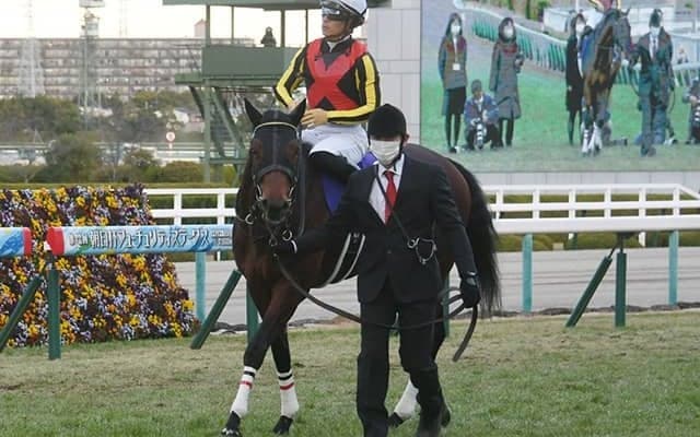 【京成杯AH予想オッズ】グレナディアガーズが予想1番人気に