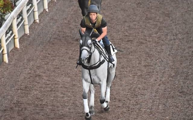 【セントウルS】出走馬・騎手確定 レシステンシア＆C.ルメール騎手、カレンモエ＆松山弘平騎手など17頭