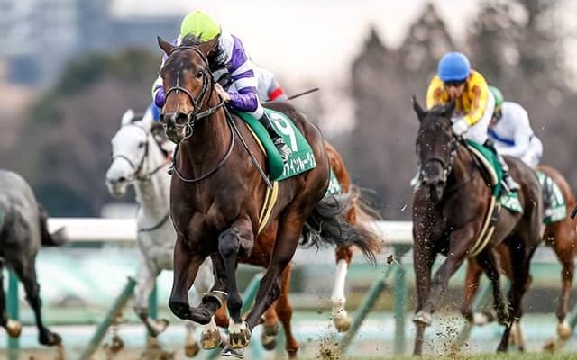 【紫苑S予想オッズ】ファインルージュが1番人気、エクランドールが続く