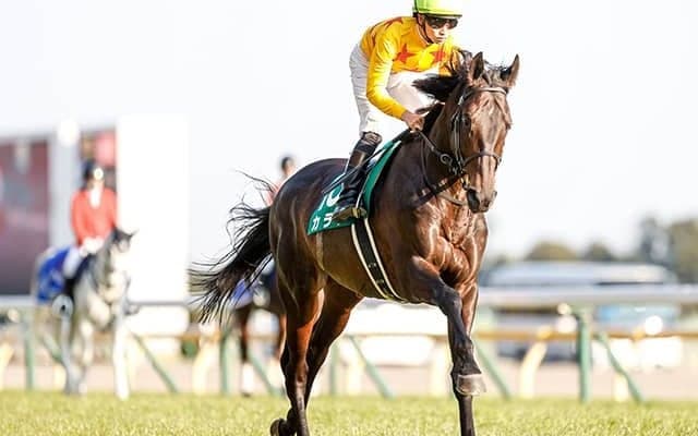 【京成杯AH】出走馬・騎手確定 グレナディアガーズ＆川田将雅騎手、カラテ＆菅原明良騎手など16頭