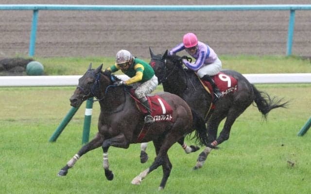 スズカプレストが競走馬登録抹消