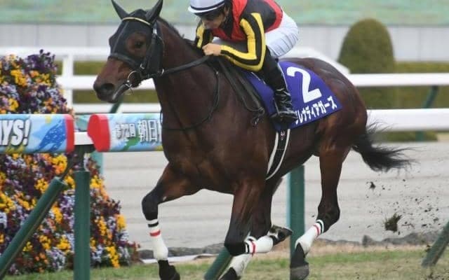 【京成杯AH枠順確定】グレナディアガーズは1枠1番、カラテは5枠10番